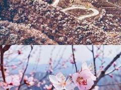 -沉浸北京·团建旅行·密室剧本杀·年会会议轰趴拓展