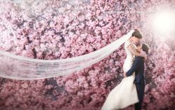 -巴黎春天·菀纱仙庭婚纱美学