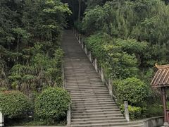 -铁山坪森林公园