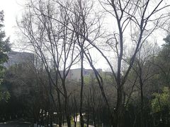 -西南政法大学(渝北校区)