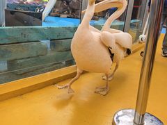 -宁波野生动物园