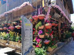 -民食香·腊排骨野生菌美食(木府店)