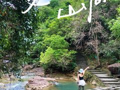 -广州白江湖森林公园