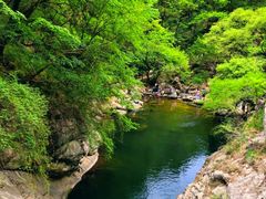 -少华山国家森林公园
