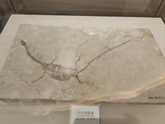 -辽宁古生物博物馆
