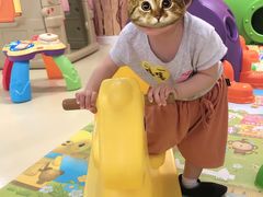 -爱德嘉儿童成长中心