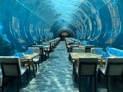 -涛·海底餐厅·美人鱼·自助餐·海底隧道(三亚海棠湾洲际度假酒店)