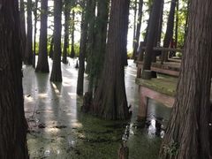 -东湖落雁景区