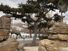 -长春市南湖公园