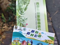 -西双版纳原始森林公园