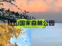 -红山国家森林公园