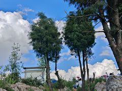 -长虫山生态公园风景林