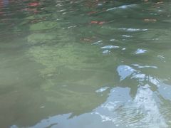 -雅鲁激流探险漂流