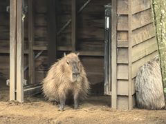 -可伦宾野生动物保护区