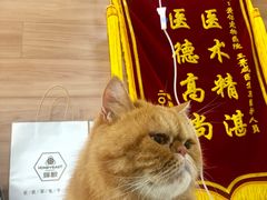 -爱侣宠医·鹦鹉专科·小型哺乳类·异宠专科(灵石路店)