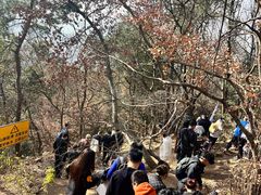 -虞山风景区