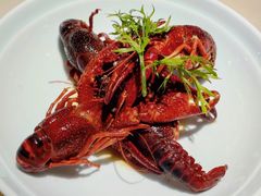 -淮扬府·游园京梦(北京SKP店)