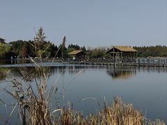 -溱湖国家湿地公园