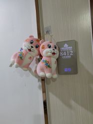 -大连新百佳妇儿医院