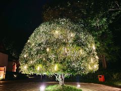 -青城山六善酒店·紫氣園中餐厅
