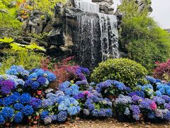 -上海鲜花港