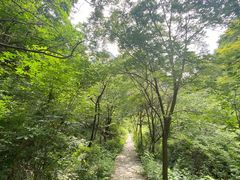 -圣莲山风景区