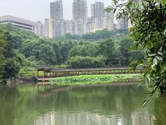 -龙头寺公园