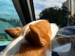 -香港风味小吃店(中英街店)