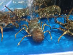 -沃尔玛购物广场(霖雨路店)