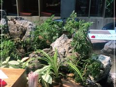 -森味薪火烧•烧鸟居酒屋•日本料理(望京店)