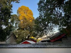 -颐和园