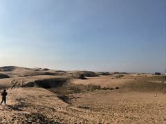 -紫光园·烤鸭(吕家营店)