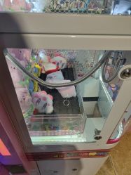 -卡通尼·Safari非洲探索乐园·生日会(金桥国际商业广场店)