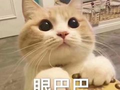 -云朵上的鱼(莘庄店)
