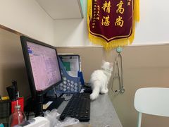 -安安宠医·臻爱宠物医院·宠保定点(营门口路分院)