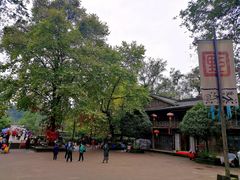 -雅安上里古镇