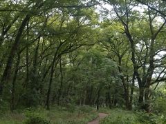 -西溪南古村落