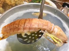 -凯华海鲜火锅·传承三十六年