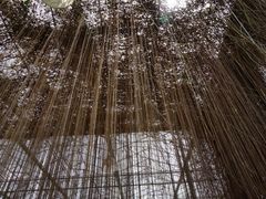 -上海多利农业发展有限公司