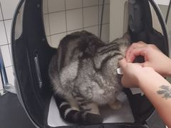-瑞派康怡24h宠物医院·犬猫医疗中心·微创绝育(瑞景分院)