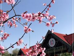 -上海海湾国家森林公园