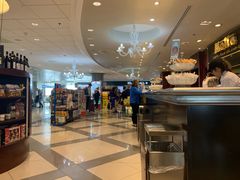 -米兰马尔彭萨国际机场