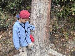 -九鲤湖风景区