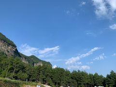 -重庆睡佛山森林公园