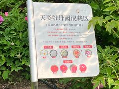 -太阳宫公园