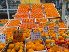 -西归浦每天偶来市场