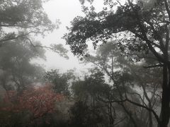 -塔云山