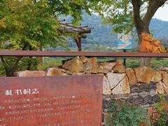 -树山生态村