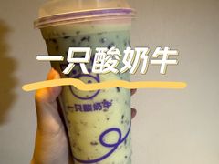 -一只酸奶牛(八一路店)