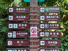 -西双版纳原始森林公园